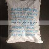 Roofing Nail With Flat Head thumbnail-4