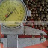 Floating Fish Feed Machine 1000kg/hour thumbnail-4