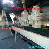 CSPM 2016 New Hot Sale Rice Husk Pellet Press for Malaysia thumbnail-6