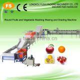 High Quality Fruit and Vegetable Cleaning and Sorting Machine