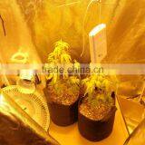 Indoor Mylar Tent for Hydroponics thumbnail-1