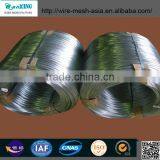 Galvanized Low Carbon Steel Wire Electro Galvanized Wire and Hor Dipped thumbnail-5