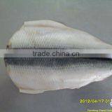 Dried Fresh Herring Fillet thumbnail-1