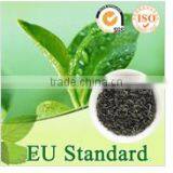 Premium Green Tea in Pallets thumbnail-2
