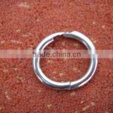 PIG RINGS thumbnail-1