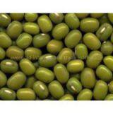 GREEN MUNG BEANS thumbnail-1