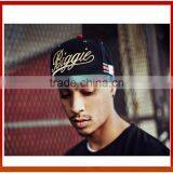 Top Quality Embroidery Customize Snapback Hats/Hip Hop Snapback Caps thumbnail-3