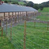 Hot-dipped Galvanized Field Fence, Cattle Field Fence Post, Galvanized Cattle Fence thumbnail-4