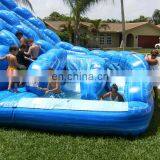 Inflatable Blue Marble Water Slide Double Curved Backyard Slip and Slide For Children thumbnail-3