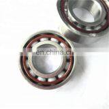 High Precision Ceramic Bearing 7004 Bearing