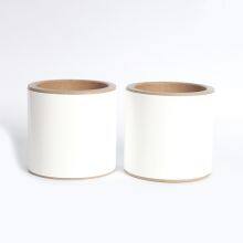 Lithium-Ion Battery Separator