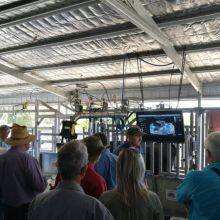 Animal Ultrasonic Detection Sets for Cow, Horse, Pets Etc. Palm Scanner thumbnail-5