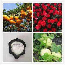 6ba Plant Rooting Hormone 6bap 6benzylaminopurin 99%tc thumbnail-3