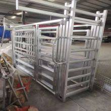 2025 New Mold Steel Tube Cattle Weighing Crush thumbnail-3