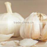 Wholesale Quick Frozen Garlic thumbnail-1