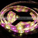 DC12V Dc24v SMD 5050 LED Strip RGBW thumbnail-5