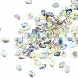 2015 New 3D Nail Accessories Natual Abalone Shell Jewelry Stone for Nail Art Decoration ZX:CNS01 thumbnail-2