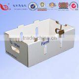 Anhui Factory Apple Fruit Packaging Boxes thumbnail-3