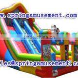 Outdoor High Quality and Cheap Inflatable Slide, Inflatables, Inflatable Water Slide SP-SL111