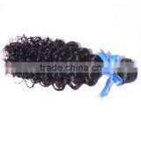 Brazilian Human Virgin Hair Water Wave Human Hair Wig Clip in Hair Extension