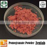 Watersoluble Bulk Organic Pomegranate Fruit Juice Powder thumbnail-6