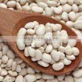 White Kidney Beans thumbnail-2