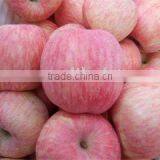 Factory of Fuji Apple Suplier s thumbnail-1