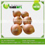 Fresh Welsh Onion thumbnail-1