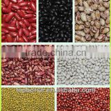 good quality all types of kidney beans