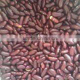 High Quality Vietnam Red Bean Good Packing for Sale thumbnail-1
