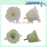 Natural Preserved Fresh Flowers Preserved Roses Wholesale thumbnail-2
