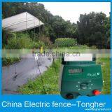 Electric Fencing For Chilken thumbnail-4
