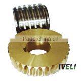 Bronze Worm Gear thumbnail-1