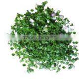 OULENO A Machine for Cutting Cutting Circle Cutting Onion Cutting Machine Qiecai Machine Cut Green Onion Pepper Circle Leek Mach thumbnail-4