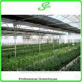 High Qulity New Style Hydroponic System thumbnail-6