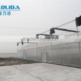 Factory Price Vegetables/Crops/Horticulture Used Poly Carbonate Sheet Greenhouse thumbnail-3