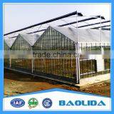 Steel Structure Glass House Glass Greenhouse thumbnail-4