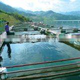 Yeast Extract Powder 42% for Fish Shrimp and Crab Feed thumbnail-3