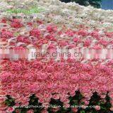 SJLJ01136 Hand Make Artificial Flower Wall as Wedding Decoration Backdrop thumbnail-3