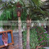 SJ2001205 Home Indoor Using Cocount Plam Tree Factory Outlet thumbnail-1