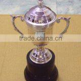 Silver Trophy, Trophies, Metal Trophy, Awards, Sports Awards, Trophy,trophys,trophies & Awards, thumbnail-1