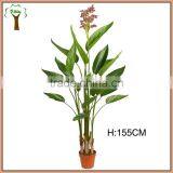 The Latest Fake Banana Plant With Flowers for Indoor Decoration thumbnail-1