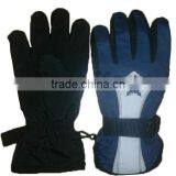 NMSAFETY Famous Ski Brands thumbnail-1