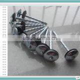 Colour Painted Roofing Nails With Umbrella Head thumbnail-6