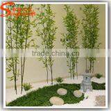 China Supplier New Product Bamboo Price Plastic Lucky Bamboo Plants for Sale thumbnail-2