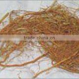 Vetiveria Zizanioides thumbnail-2