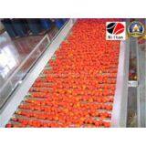 Coming From Nilton's Delicious Tomato Paste Ketchup thumbnail-2