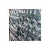 Galvanized Square Wire Mesh