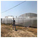 High Quality Cheap Price Agricultural Indoor Solar Greenhouse Frame With Plastic Sheet Tent thumbnail-7