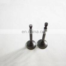 Intake and Exhaust Valves Kit for 168f 6.5hp Air Cooled Four Stroke Gasoline Engine Generator Parts thumbnail-2